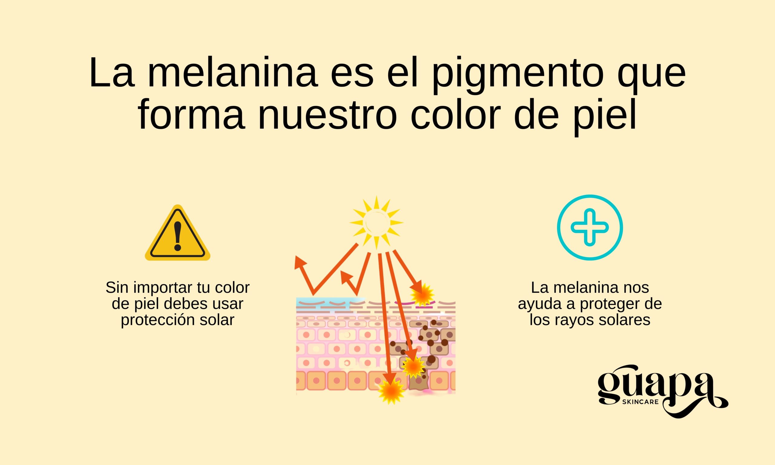 La melanina y el color de piel
